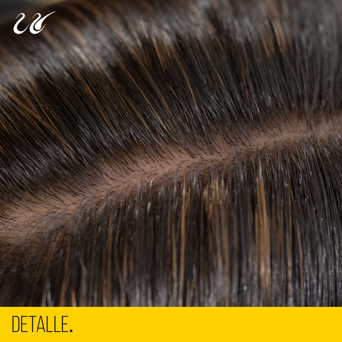 detalle de la zona piel